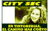 franquicia City Sec Tintorerías  (Servicios varios)