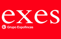 franquicia Exes - Grupo Expofincas  (A. Inmobiliarias / S. Financieros)