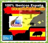 franquicia Soloibericos  (Alimentación)