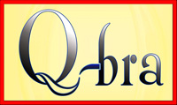 franquicia Quality Branding  (Informática / Internet)