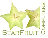 franquicia StarFruit Computers  (Informática / Internet)