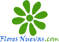franquicia Flores Nuevas  (Tiendas Online)