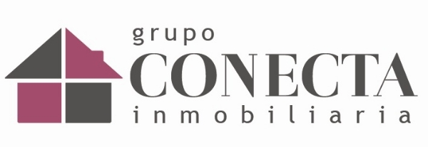 franquicia Grupo Conecta Inmobiliaria  (A. Inmobiliarias / S. Financieros)