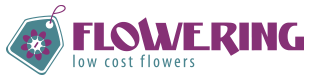 Franquicia Flowering es una franquicia de florister&iacute;a que cuenta con una cuidada imagen. &Uacute;nete a Flowering, es bonito, es natural, est&aacute; de moda y sobre todo, te har&aacute; sentir bien.
