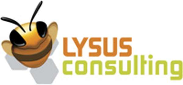 franquicia Lysus Consulting (Informática / Internet)
