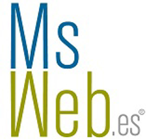 franquicia Msweb.es (Informática / Internet)