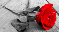 La Mafia se pone romántica