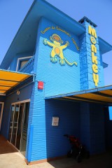 Matronatación en Centros de Educación Infantil Monkey