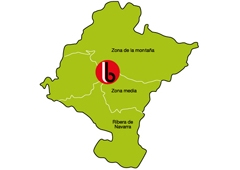 Berolina Plus Business se expande hacia el Norte a través de su nueva oficina en Navarra
